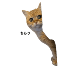 674974303