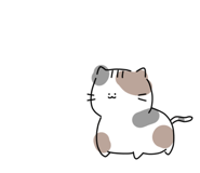 674978090