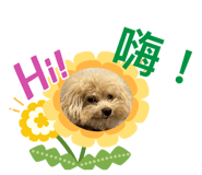 674985022