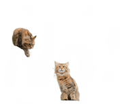 674985968