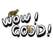 674985969