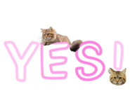 674985970