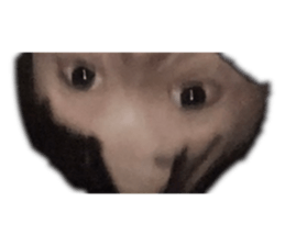 674987849
