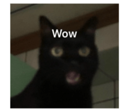 674993568