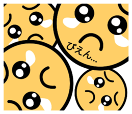 675007646