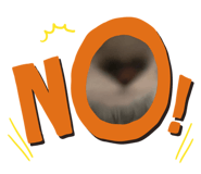 675012656