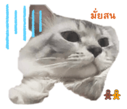 675012669