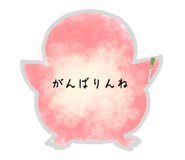 675023002