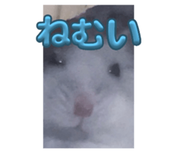 675065820