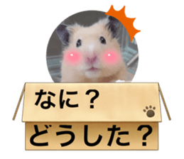 675068588