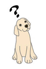 6750808