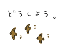 675082885