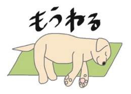 6750846