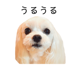 675084861