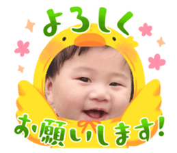 675137915