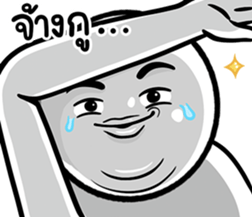 675163107