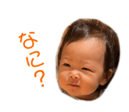 675177251
