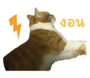 675184340