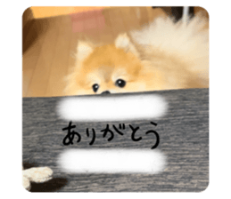675191237
