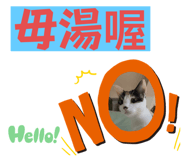 675204629
