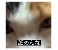 675207245