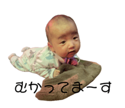 675223181