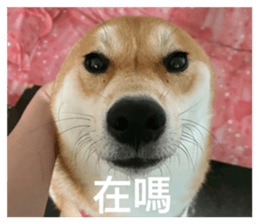 675224622