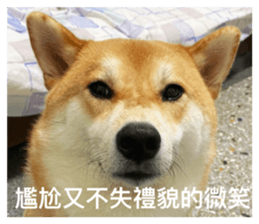 675224627