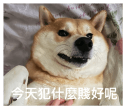 675224635