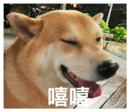 675224645