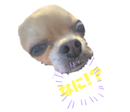 675232794
