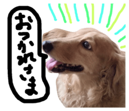 67523580