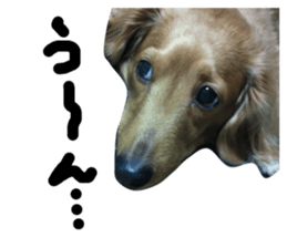 67523592