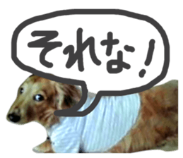 67523602