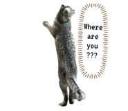 675238688