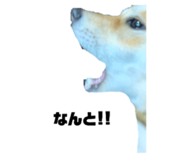 675240090