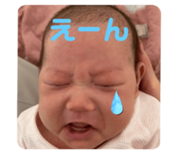 675243331