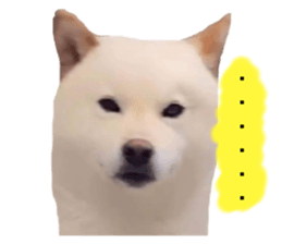 675249774