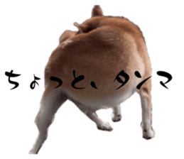675252489
