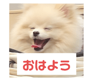 675263830