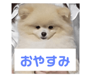 675263831