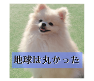 675263849