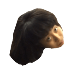 67527045