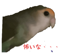 675274718