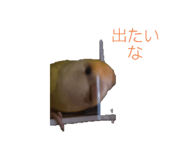 675274719