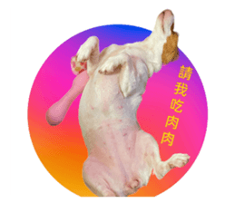 675287353