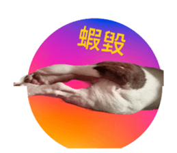 675287354