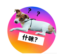 675287361