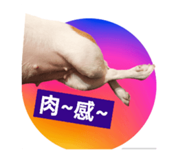 675287893