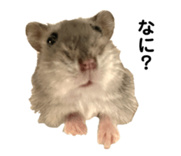 675301858